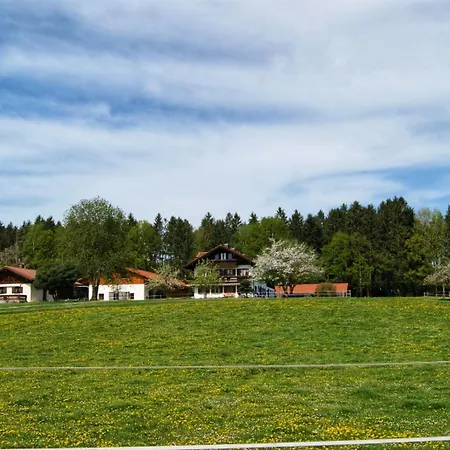 Apartament Axmann