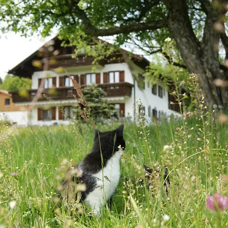 Apartment Axmann Gstadt am Chiemsee