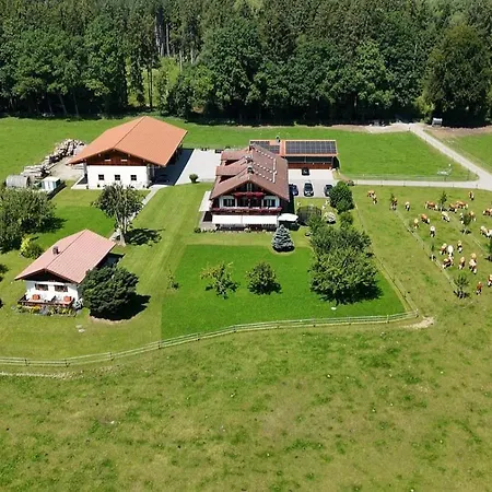 Axmann Apartman *