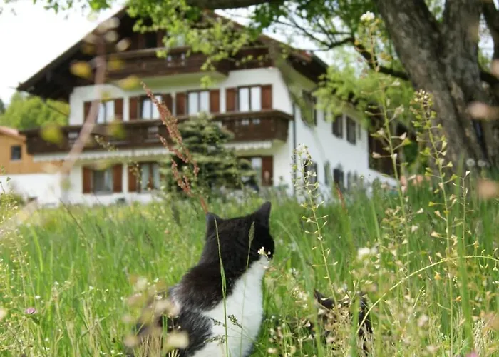 Lejlighed Axmann Gstadt am Chiemsee